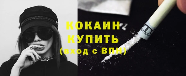 прущие грибы Володарск