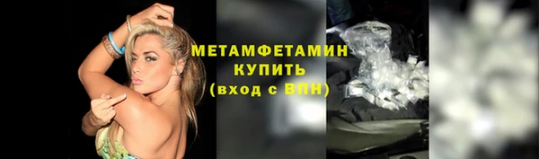 прущие грибы Володарск