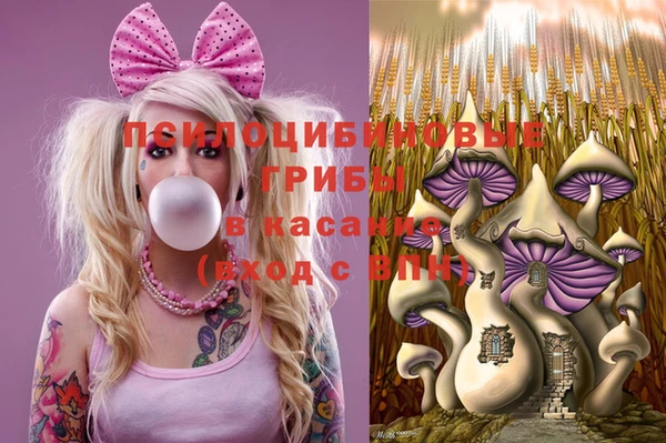 прущие грибы Володарск