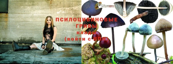 jwh Волосово